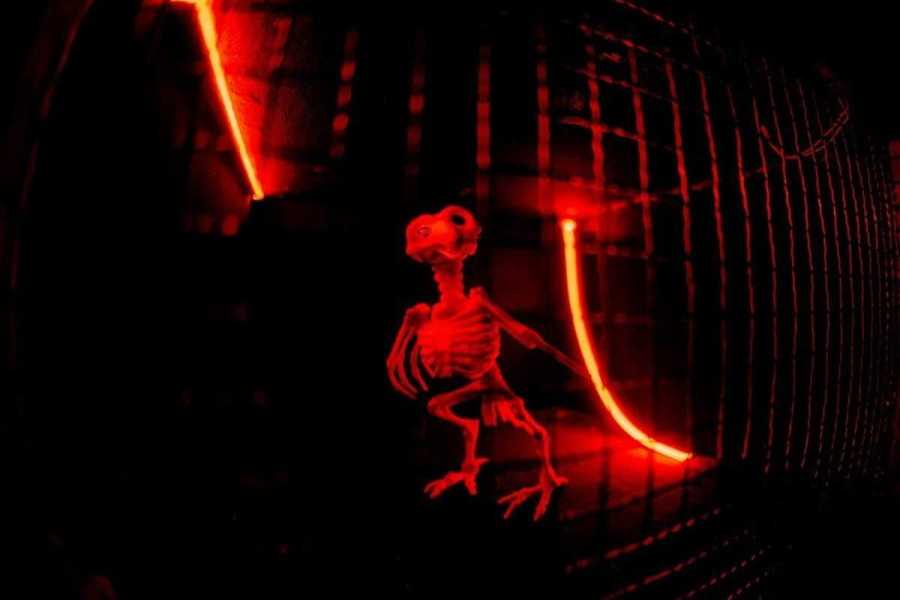 Квест в реальности Тайна трех островов от компании Взлом Квест в реальности Тайна трех островов от компании Взлом